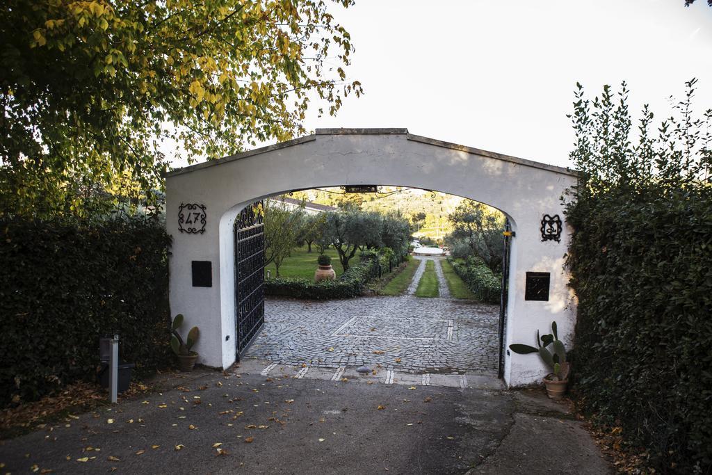 Il Pettirosso B&B Grottaferrata Kültér fotó