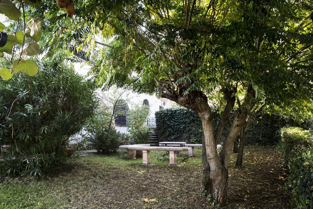 Il Pettirosso B&B Grottaferrata Kültér fotó