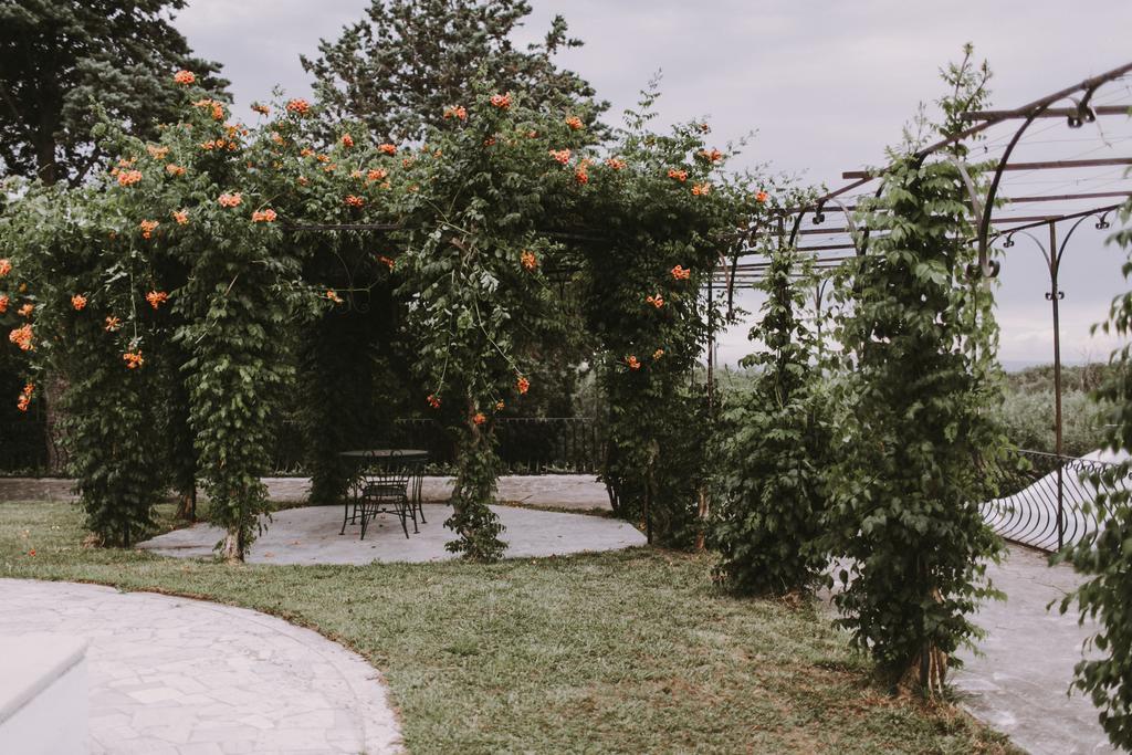 Il Pettirosso B&B Grottaferrata Kültér fotó