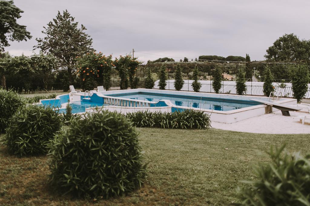 Il Pettirosso B&B Grottaferrata Kültér fotó