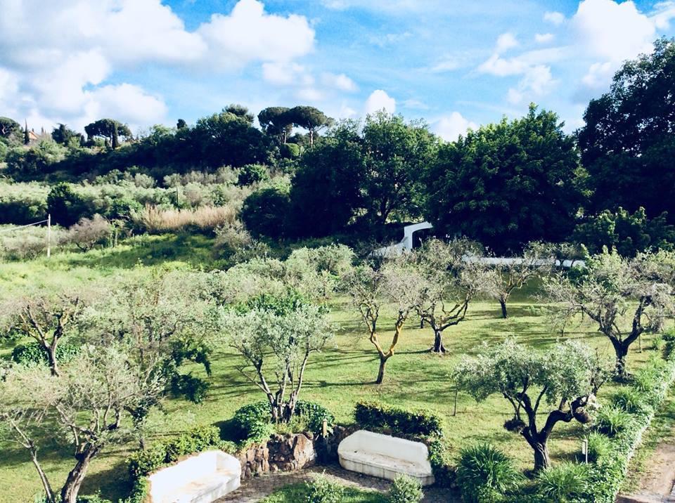 Il Pettirosso B&B Grottaferrata Kültér fotó